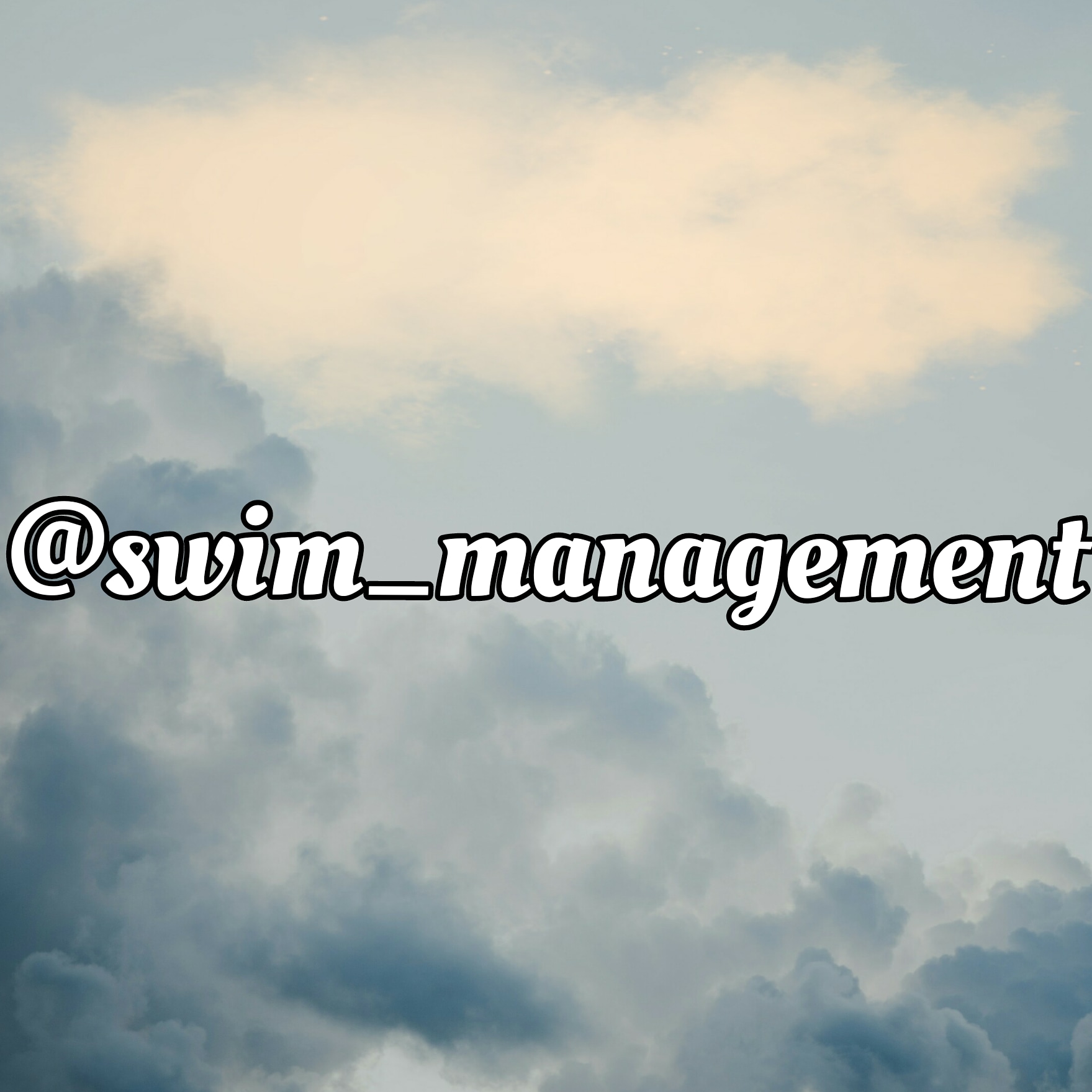 SWIM.MANAGEMENT Instabio Linkbio