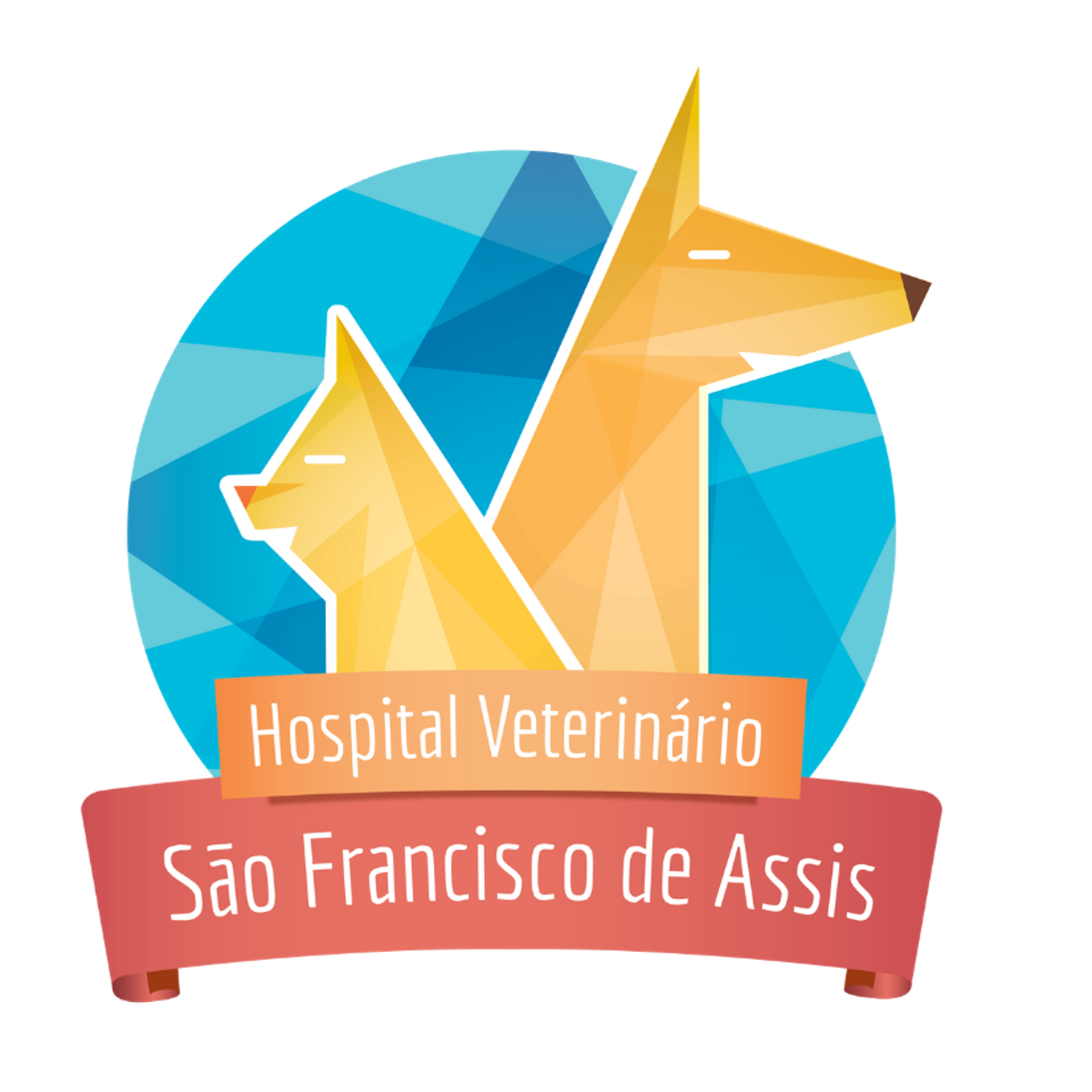 Hospital Veterinário São Francisco de Assis Instabio Linkbio