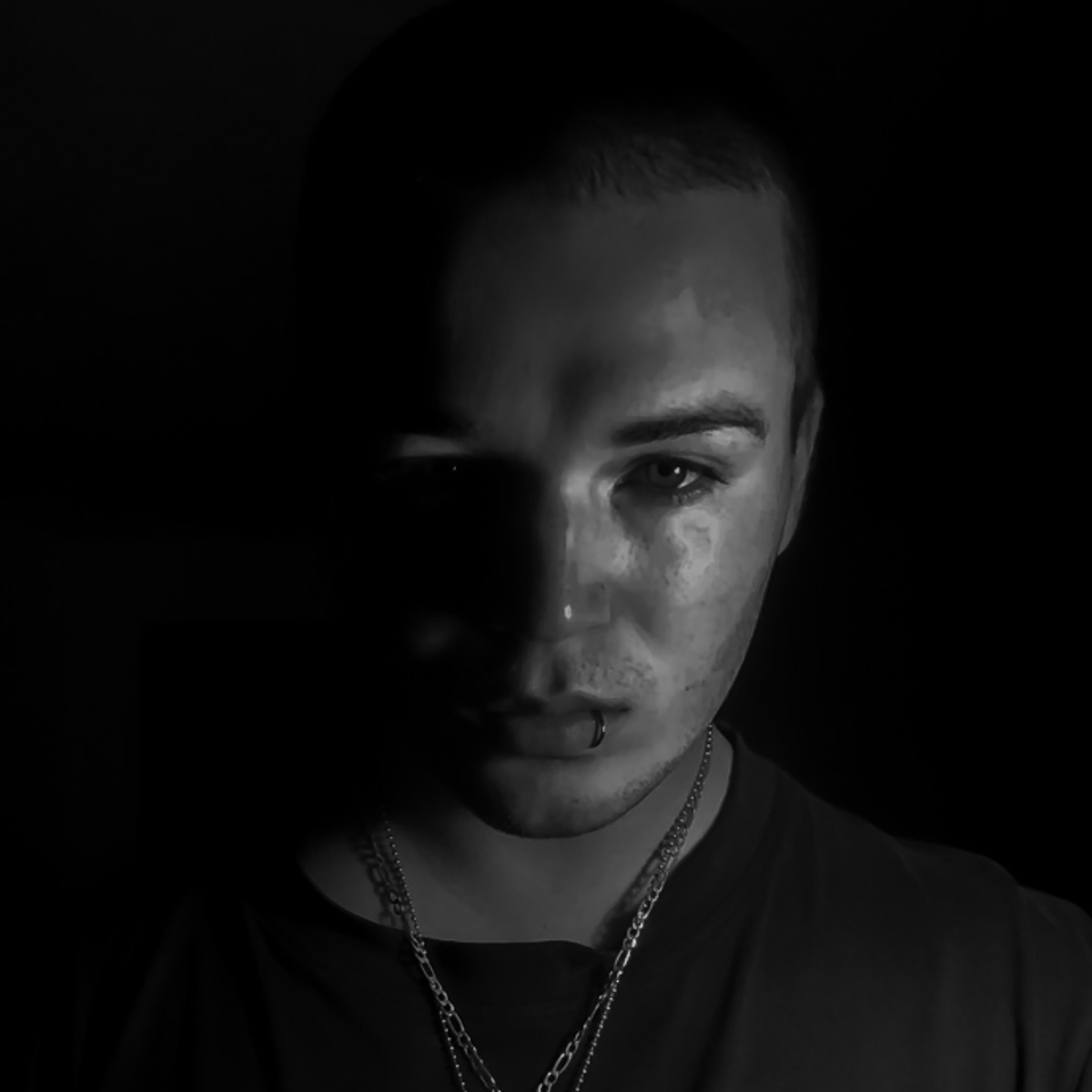 DAN BROWN Instabio Linkbio