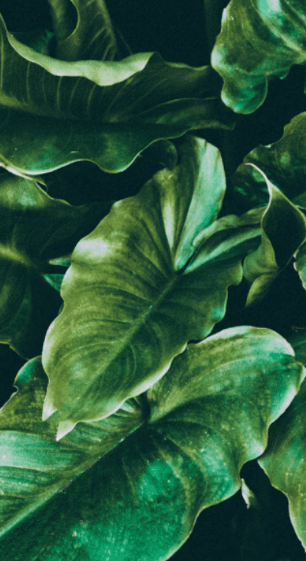 high-quality oversized furniture - Instabio | Linkbio